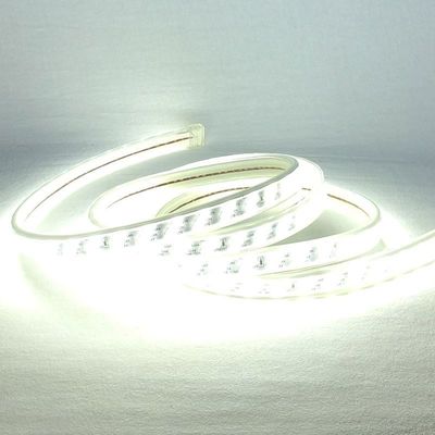 Των εξαιρετικά λουρίδα 220v φωτεινών 180leds/M ενιαίων οδηγήσεων χρώματος αδιάβροχη για την οικοδόμηση της περιγραφής