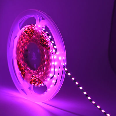 High Bright Dc12v 5v Thin Tape Led Cintas 4mm 5mm Ευέλικτο Ζεστό Λευκό Κόκκινο Μπλε Πράσινο 120led Luces Led 2835 Led Strip Light
