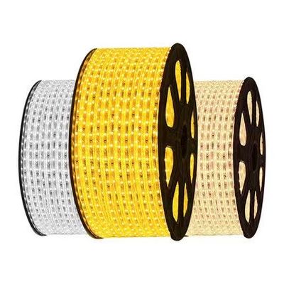 Εύκαμπτη λουρίδα ελαφρύ 220V 110V IP65 Wanterproof των ενιαίων οδηγήσεων χρώματος